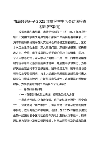 市局领导班子2025年度民主生活会对照检查材料(案例)