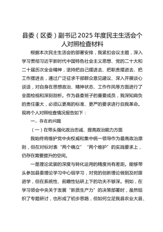 区委副书记2025年度民主生活会个人对照检查材料