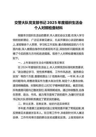 交警大队党支部书记2025年度组织生活会个人对照检查材料