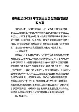 市局党组2025年度民主生活会查摆问题整改方案_1
