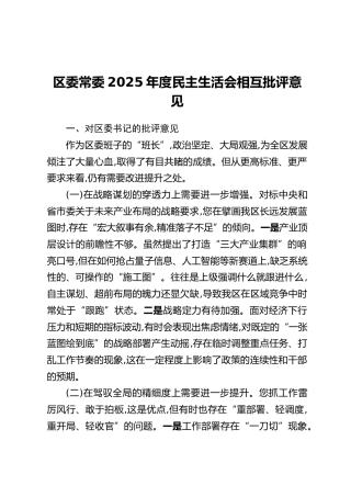 区委常委2025年度民主生活会相互批评意见