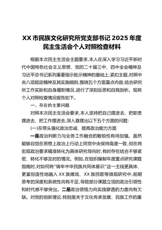XX市民族文化研究所党支部书记2025年度民主生活会个人对照检查材料