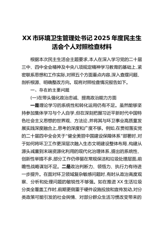 XX市环境卫生管理处书记2025年度民主生活会个人对照检查材料
