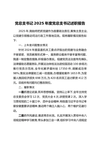 党总支书记2025年度党总支书记述职报告