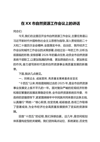 在XX市自然资源工作会议上的讲话