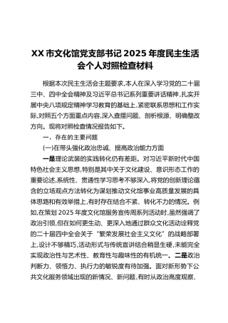 XX市文化馆党支部书记2025年度民主生活会个人对照检查材料