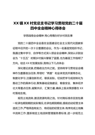 XX镇XX村党总支书记学习贯彻党的二十届四中全会精神心得体会