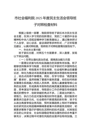 市社会福利院2025年度民主生活会领导班子对照检查材料