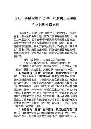 区红十字会党组书记2025年度民主生活会个人对照检查材料