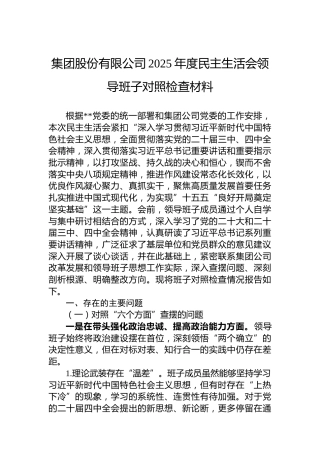 集团股份有限公司2025年度民主生活会领导班子对照检查材料
