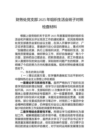 财务处党支部2025年组织生活会班子对照检查材料