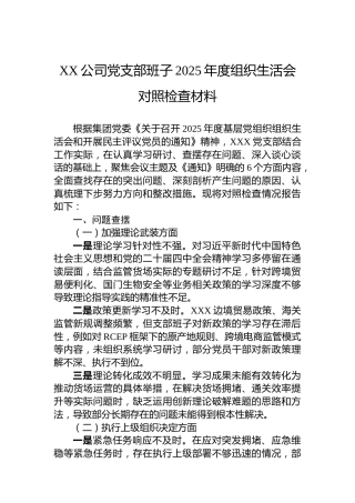 XX公司党支部班子2025年度组织生活会对照检查材料