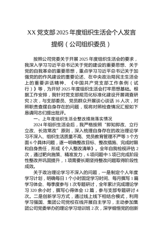 XX党支部2025年度组织生活会个人发言提纲（公司组织委员）