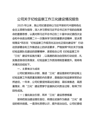 公司关于纪检监察工作三化建设情况报告