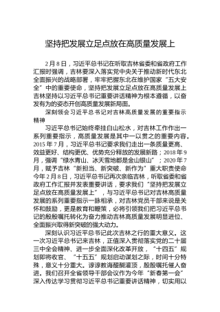 坚持把发展立足点放在高质量发展上