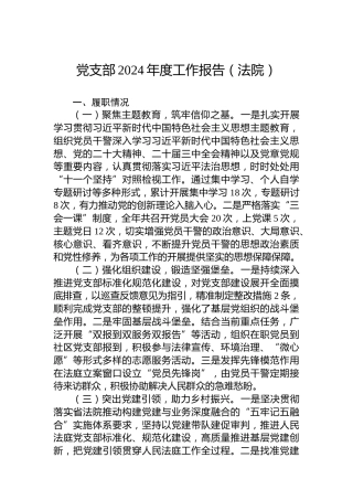 党支部2024年度工作报告（法院）