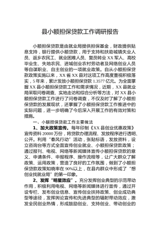 县小额担保贷款工作调研报告