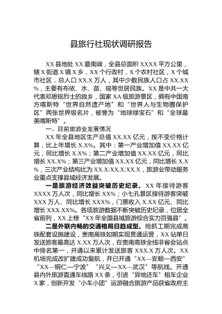 县旅行社现状调研报告