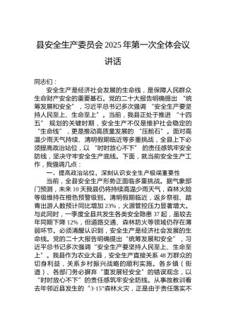 县安全生产委员会2025年第一次全体会议讲话