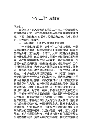 审计工作年度报告