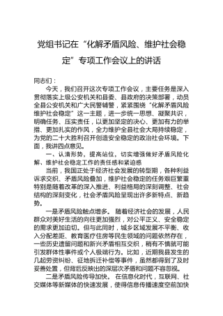 党组书记在“化解矛盾风险、维护社会稳定”专项工作会议上的讲话