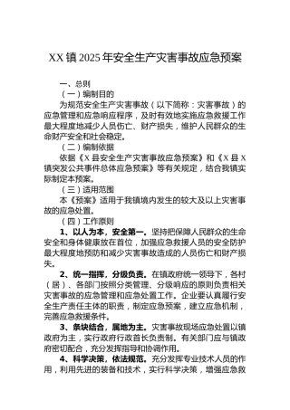 XX镇2025年安全生产灾害事故应急预案