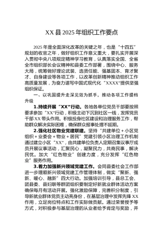 XX县2025年组织工作要点