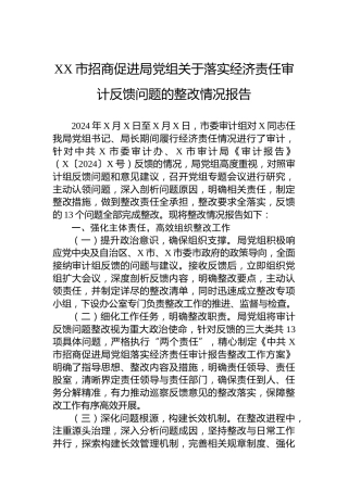 XX市招商促进局党组关于落实经济责任审计反馈问题的整改情况报告