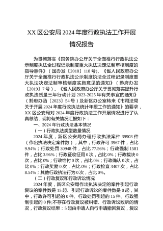 XX区公安局2024年度行政执法工作开展情况报告