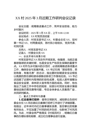 XX村2025年3月近期工作研判会议记录