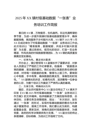 2025年XX镇村级基础数据“一张表”业务培训工作简报