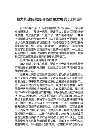 着力构建民营经济高质量发展的长效机制