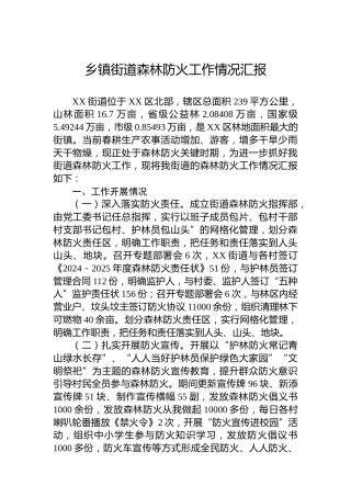 乡镇街道森林防火工作情况汇报