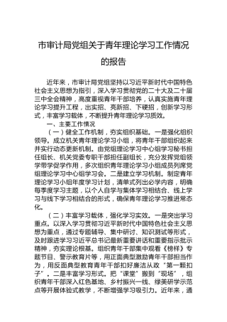 市审计局党组关于青年理论学习工作情况的报告