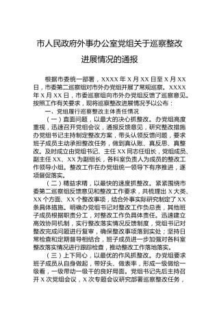 市人民政府外事办公室党组关于巡察整改进展情况的通报