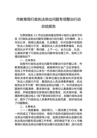 市教育局行政执法突出问题专项整治行动总结报告