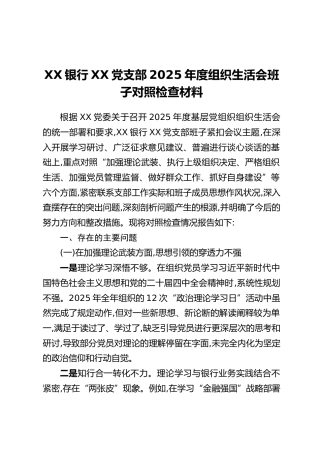 XX银行XX党支部2025年度组织生活会班子对照检查材料（六个方面）