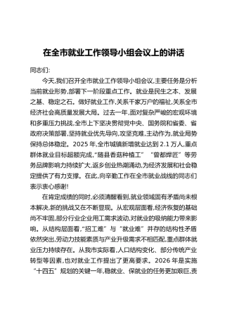 在全市就业工作领导小组会议上的讲话