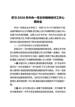 学习2026年中央一号文件精神驻村工作心得体会