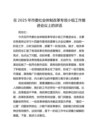 市委社会体制改革专项小组工作推进会议上的讲话