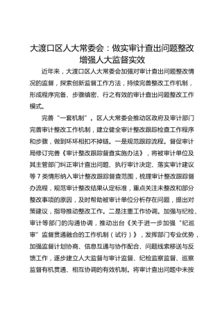 大渡口区人大常委会：做实审计查出问题整改 增强人大监督实效 