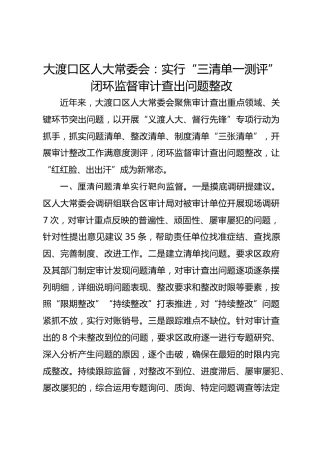大渡口区人大常委会：实行“三清单一测评” 闭环监督审计查出问题整改 