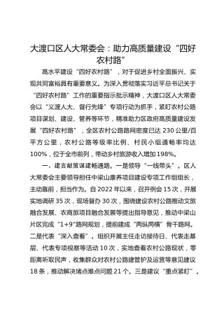 大渡口区人大常委会 ：助力高质量建设“四好农村路” 