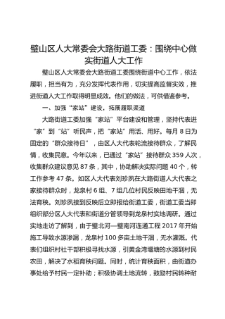 璧山区人大常委会大路街道工委： 围绕中心做实街道人大工作 