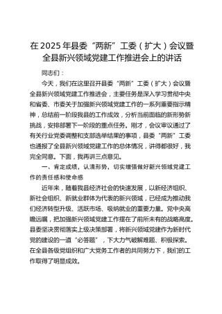 县委“两新”工委（扩大）会议暨全县新兴领域党建工作推进会上的讲话