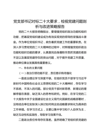 党支部书记对标二十大要求，检视党建问题剖析与改进策略报告