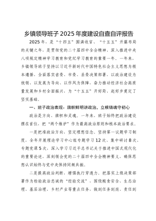 乡镇领导班子建设自查自评报告