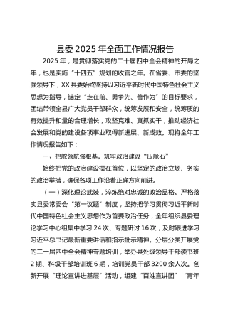 县委2025年全面工作情况报告-