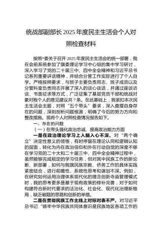 统战部副部长2025年度民主生活会个人对照检查材料
