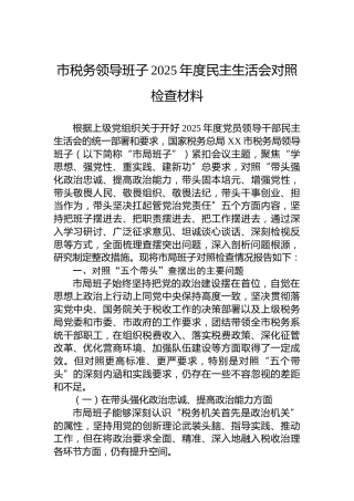 市税务领导班子2025年度民主生活会对照检查材料